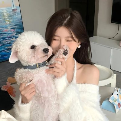 英勇废柴封面